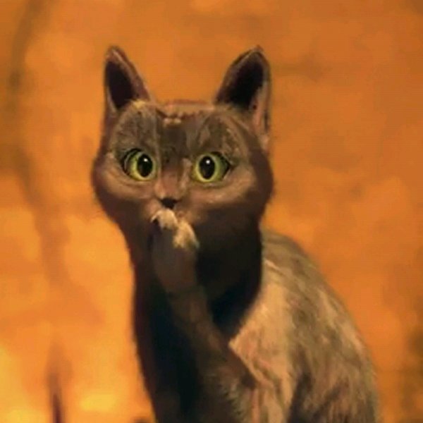 Удивленный кот с лапой