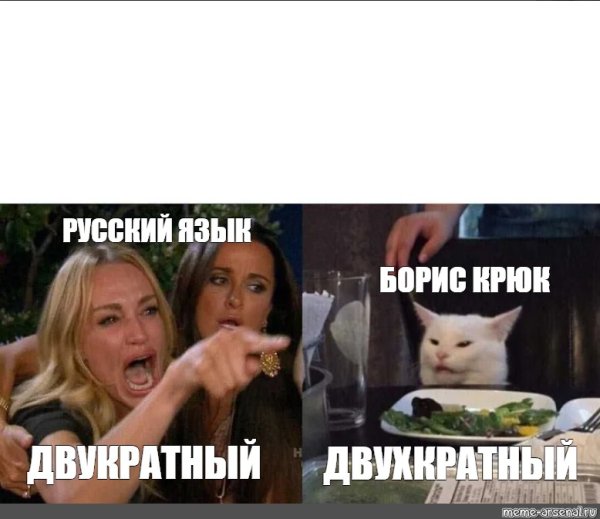 Русский русский Мем с котом