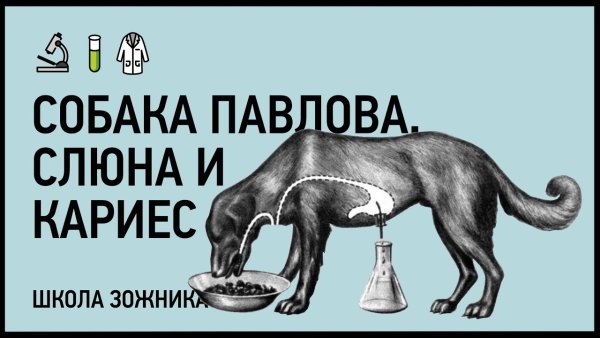 Иван Петрович Павлов собака