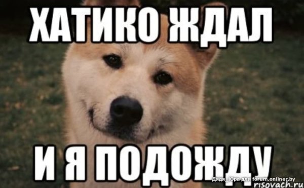 Хатико ждет Мем