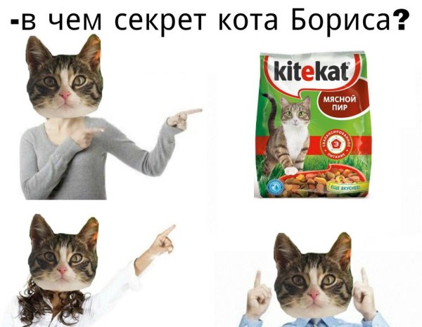 Кот Борис Китекет