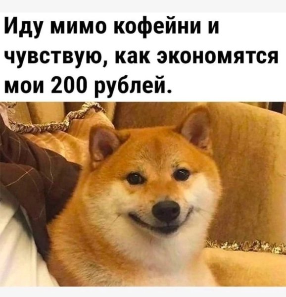 Сиба ину Чимса