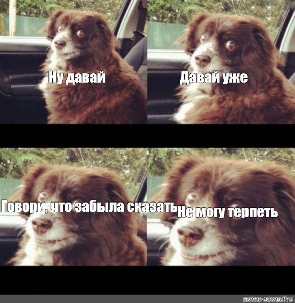 Мем ну давай уже собака