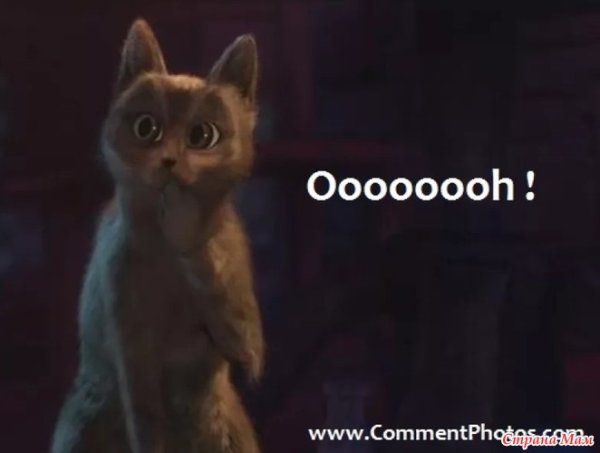 Кот из кота в сапогах оууу