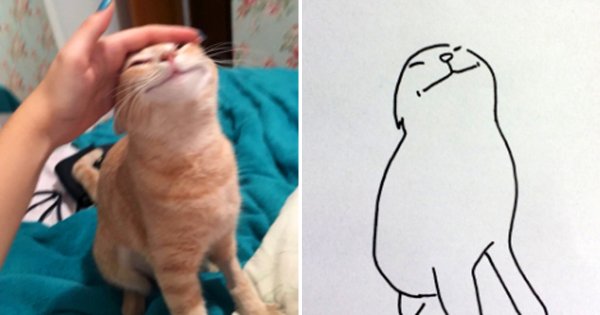 Котики мемы нарисованные