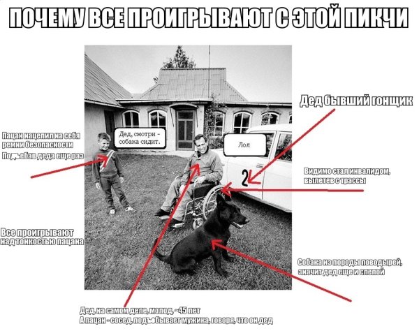 Собака дед Мем