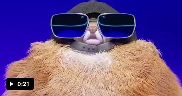 С мохнатой собакой