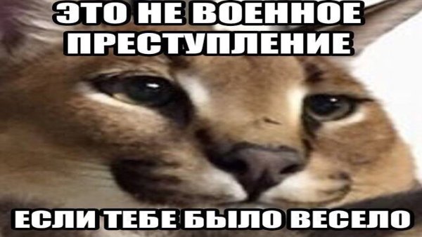 Шлеппа военные преступления