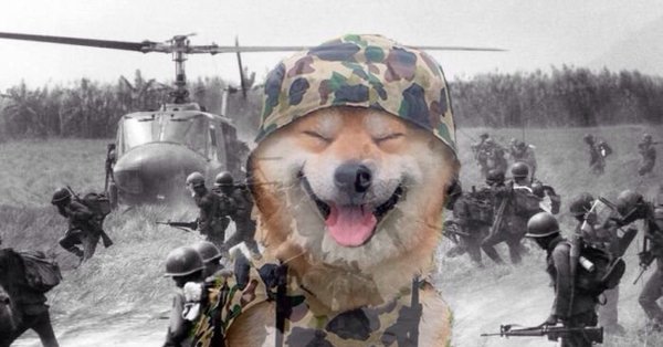 Собака флэшбэк Вьетнам