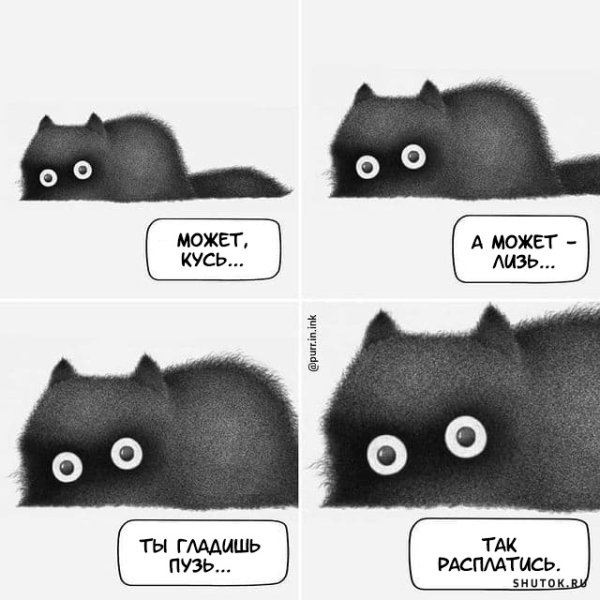 Можно с котом