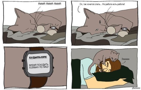 Утро комикс