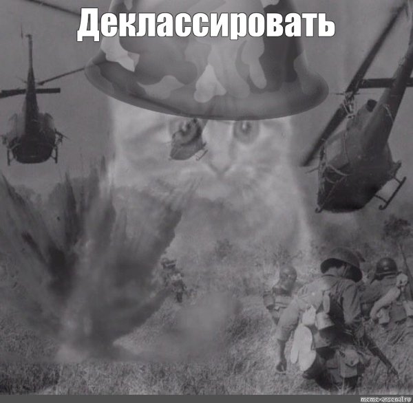 Кот флешбеки Вьетнам Мем