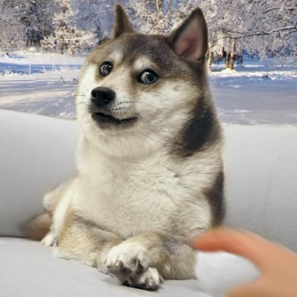 Хаски улыбается Мем