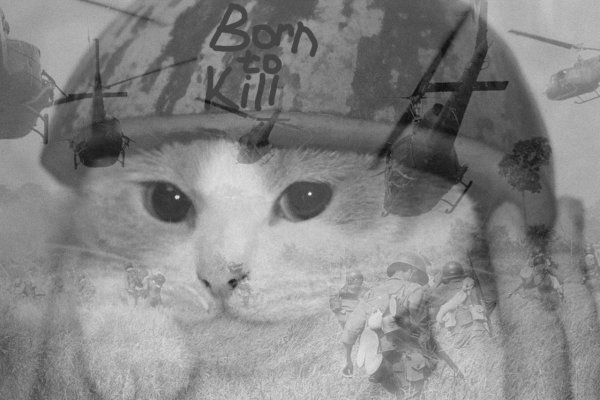 Мем флешбеки Вьетнама