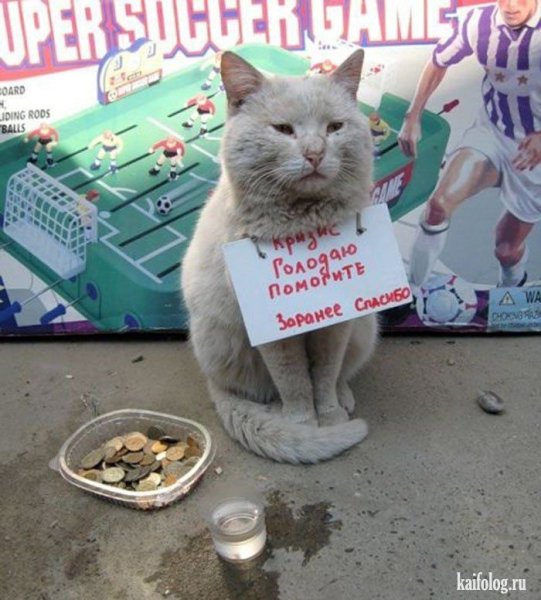 Попрошайка картинка смешная