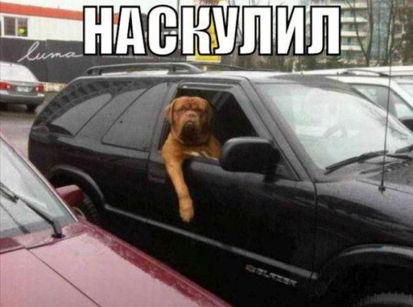 Приколы про автолюбителей
