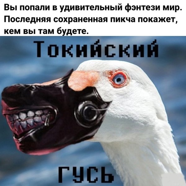УГАРНЫЙ Гусь