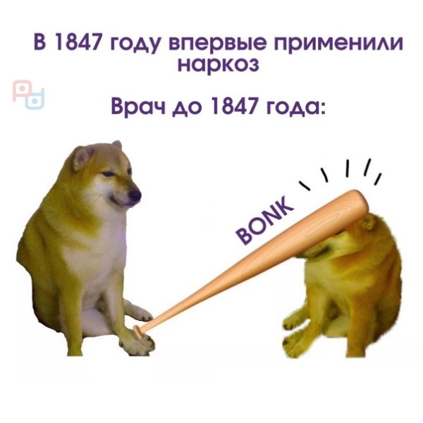 Собака с битой Мем