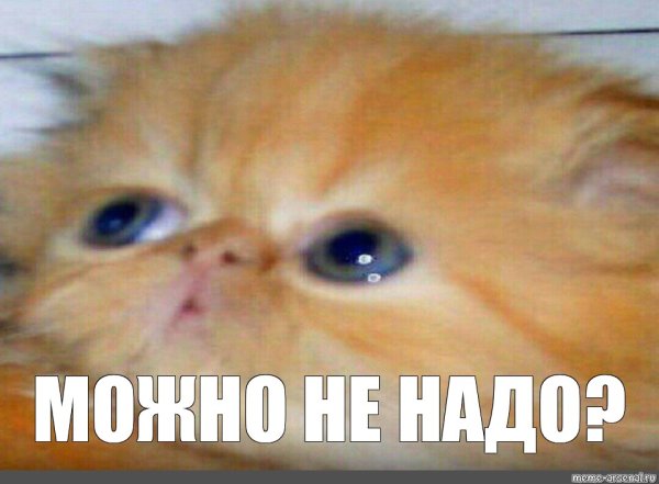 Можно не надо Мем