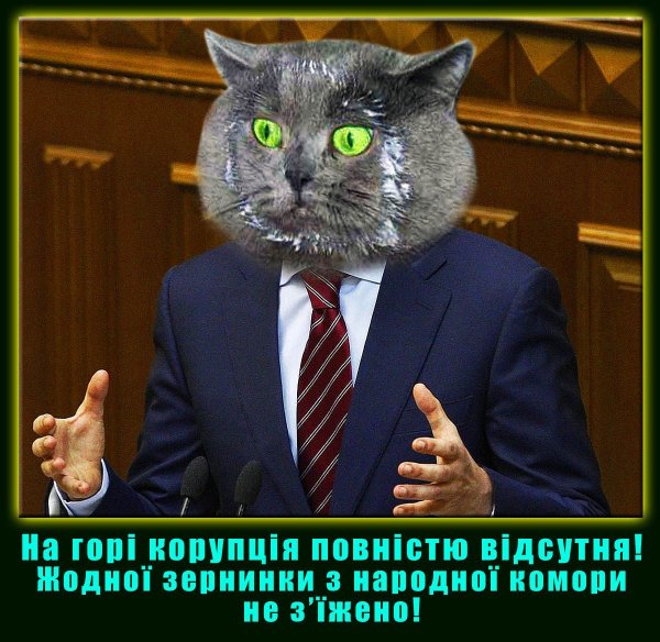 Коты депутаты