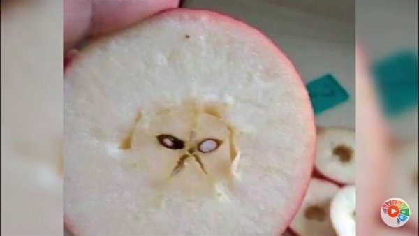 Сметанное яблоко Мем