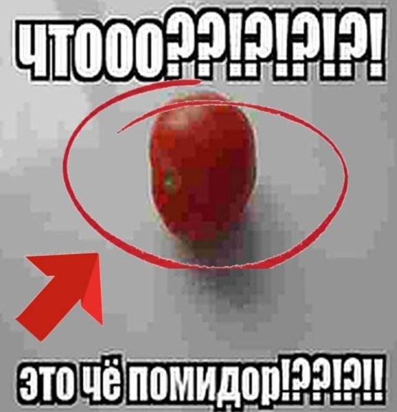Шутки про помидоры