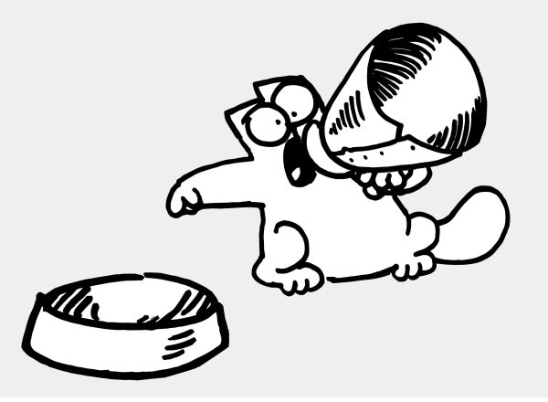 Голодный кот Саймон