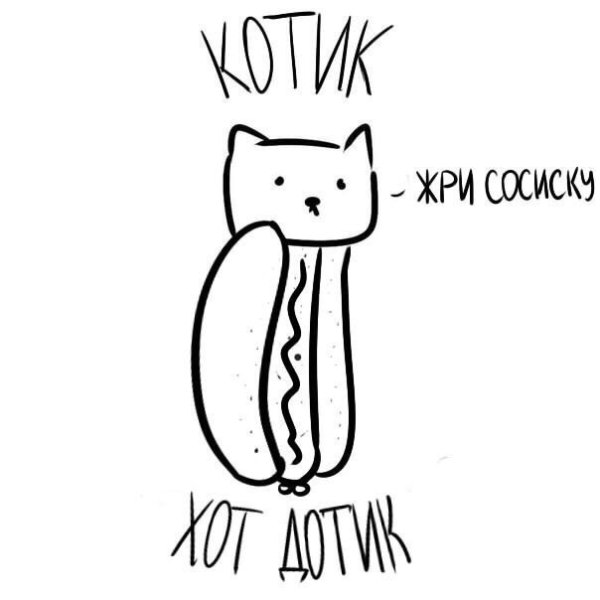 Котики наркотики