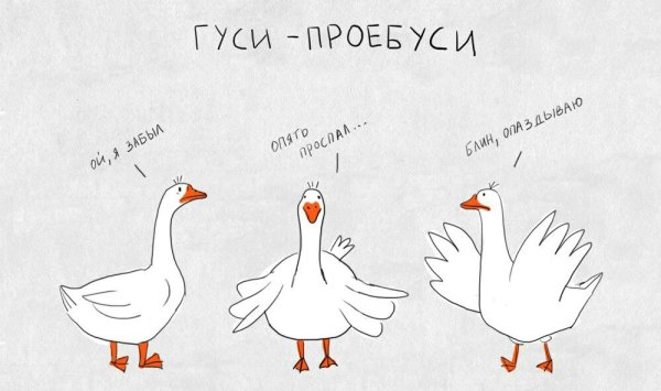 Гусь прикол