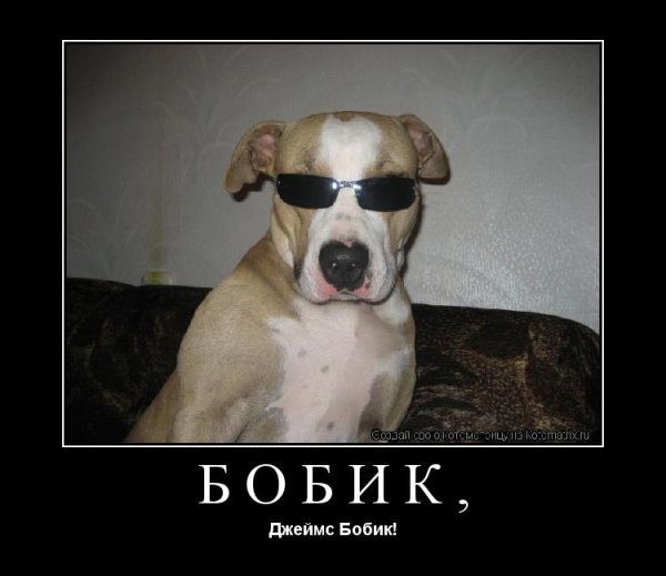 Псина Бобик