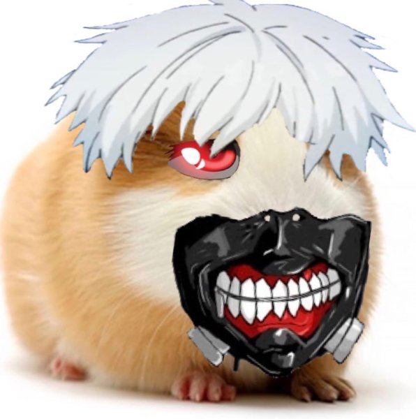 ZXCURSED кот гуль