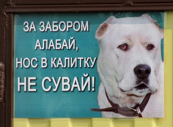 Табличка осторожно злая собака алабай
