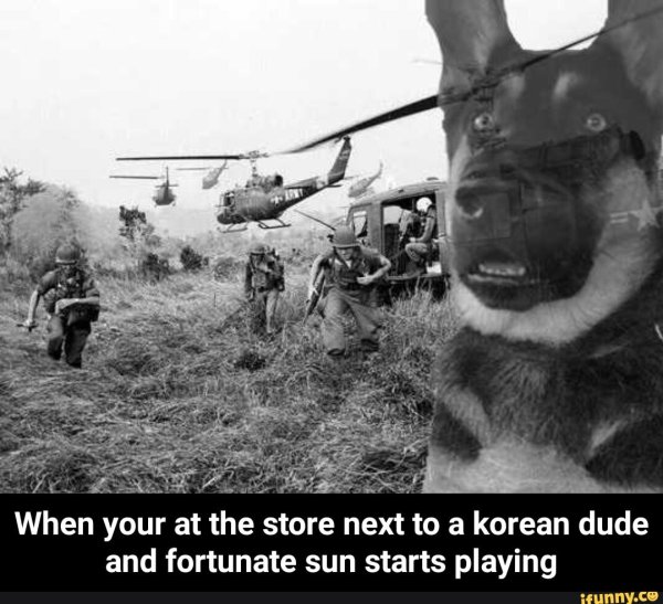 Флэшбэки Вьетнама