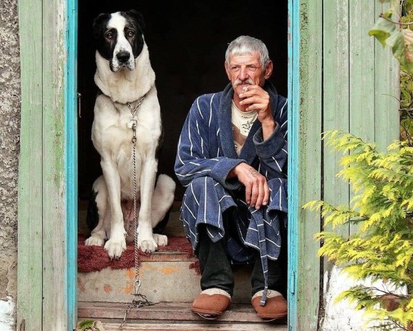 Старик и собака