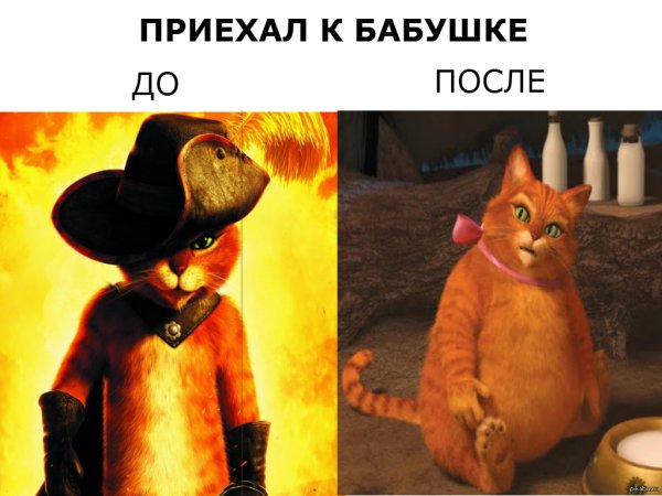 Бабушка приехала