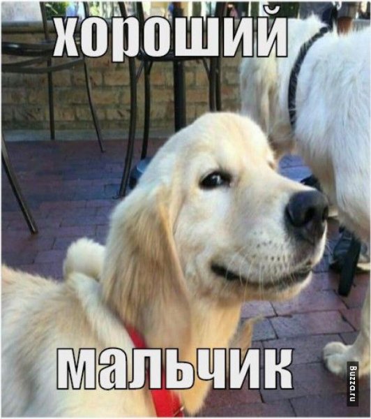 Хороший мальчик Мем