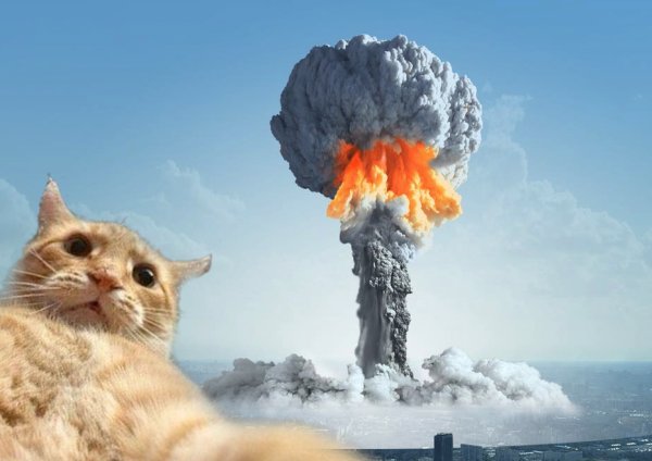 Кот и атомный взрыв