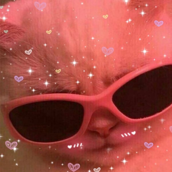 Никита Парахин