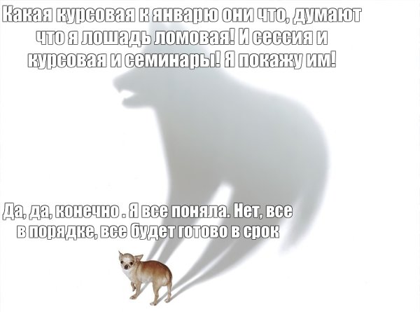 Собачка и тень Мем