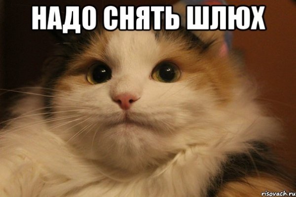 Нинада Мем с котом