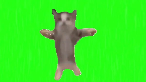 Котёнок на зелёном фоне