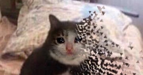 Ты чиво надел