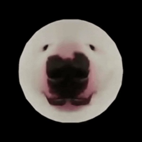 Мемы с собаками