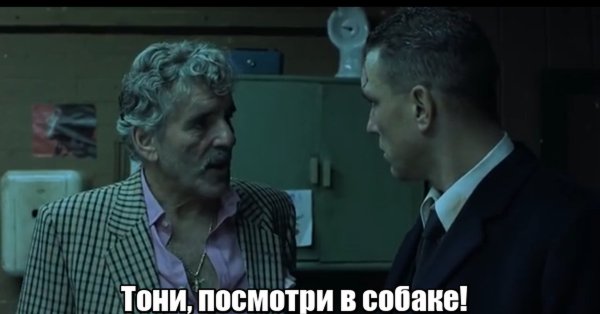 Посмотри в собаке большой куш