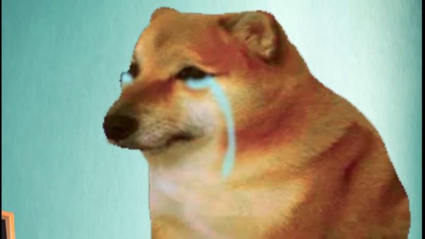 Доги плачет