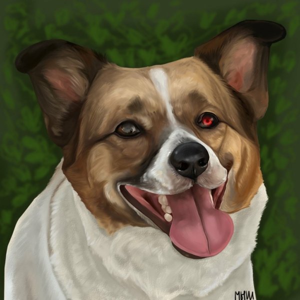 Собака дединсайд