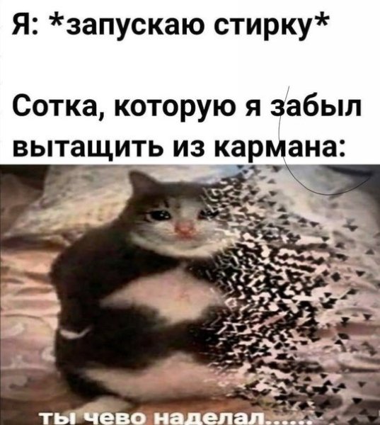 Кот ты чего наделал оригинал