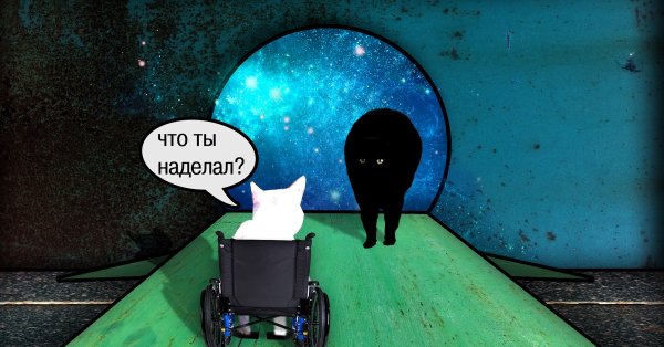 Кот рассыпается Мем