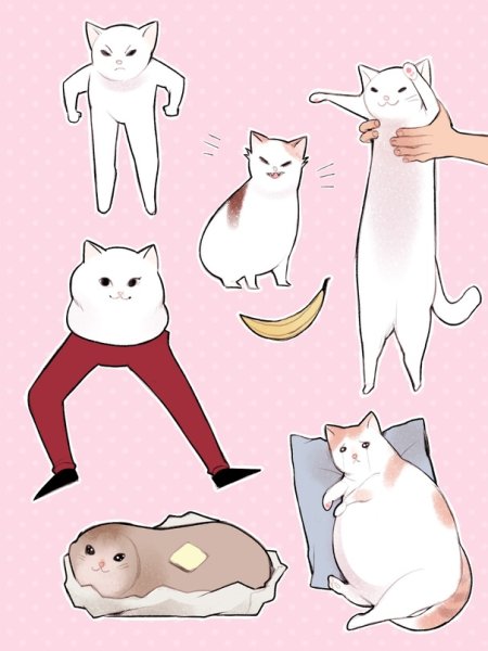 Мемы кот арт