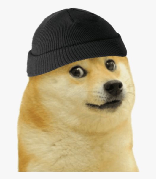 Doge собака